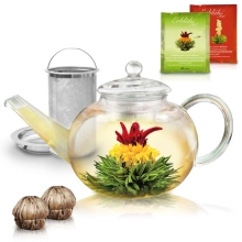 Arbatų rinkinys su arbatinuku „Baltoji ir žalioji arbata“